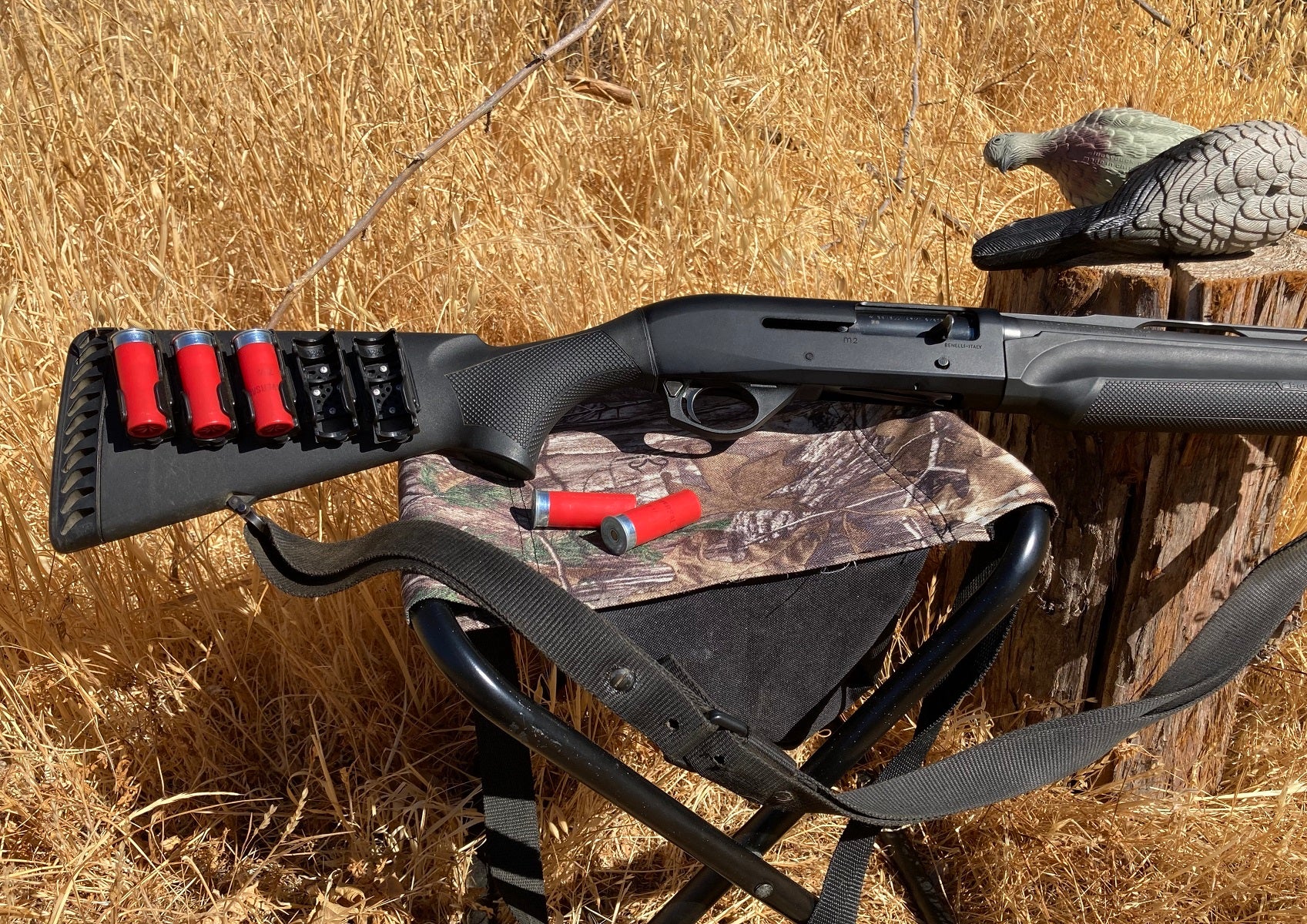 Shotgun with shell holder and red shells on a hunting stool outdoors.