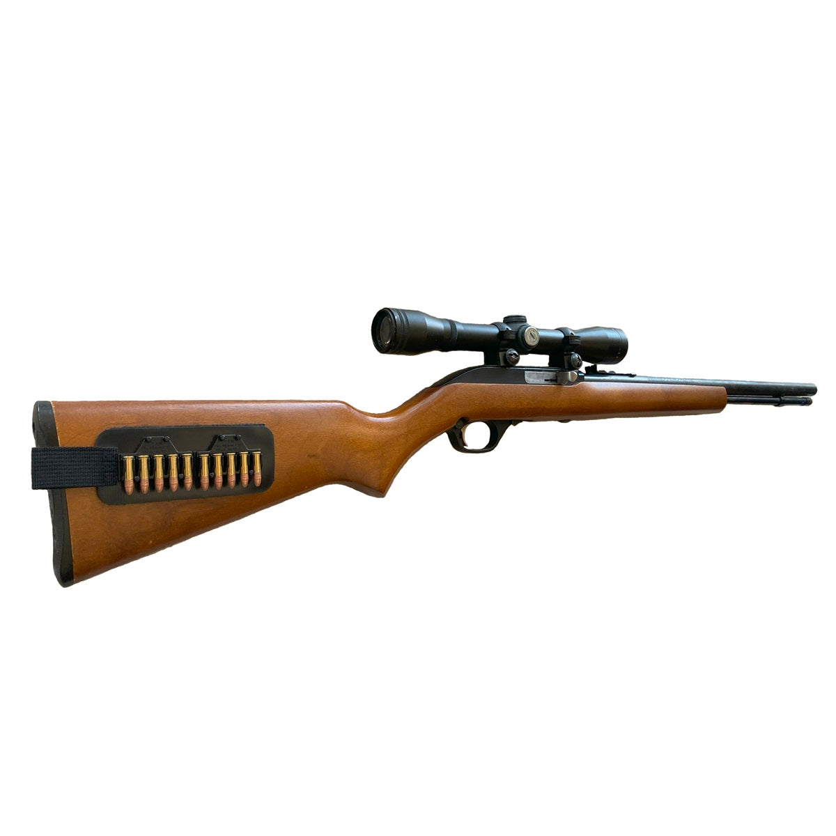 Ammo Card, 22LR, 10 round capacity